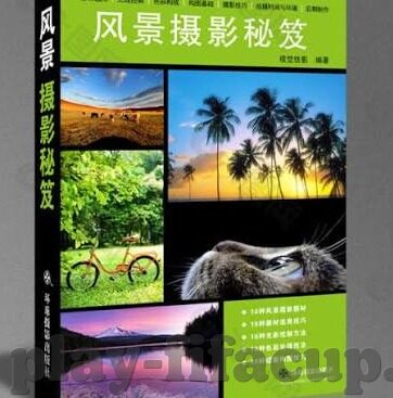 澳门永利赌场8804-澳门永利赌场的独特魅力与8804背后的故事